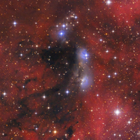 NGC 6914